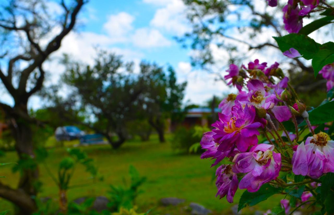 Cabanas Laguna Azul -Los Molles - San Luis 外观 照片